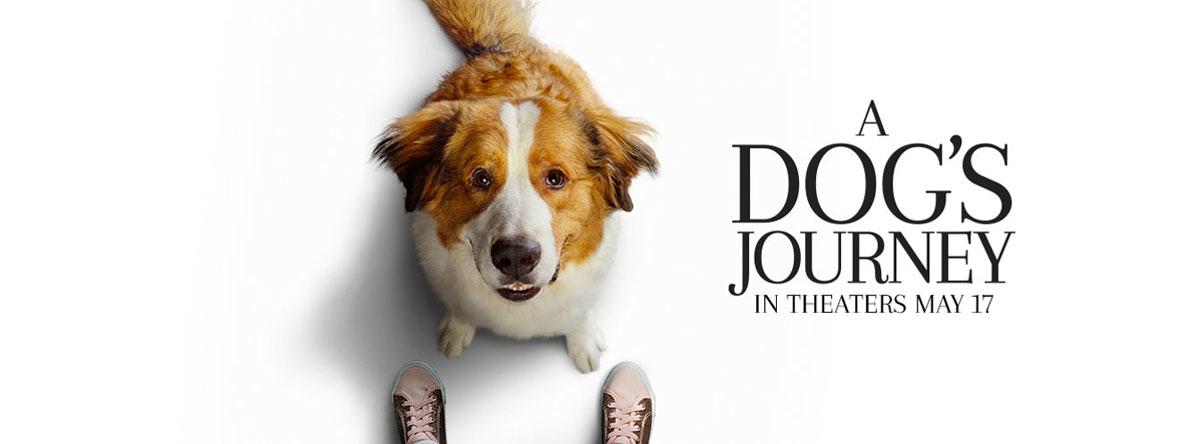 Slider Image for Dog