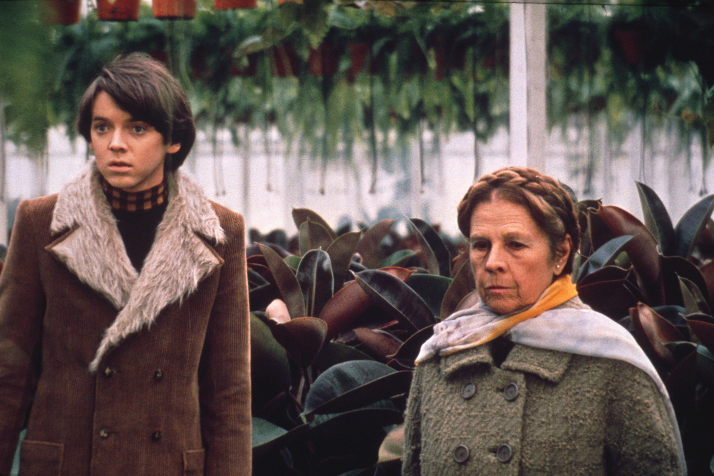 Harold and Maude Photo