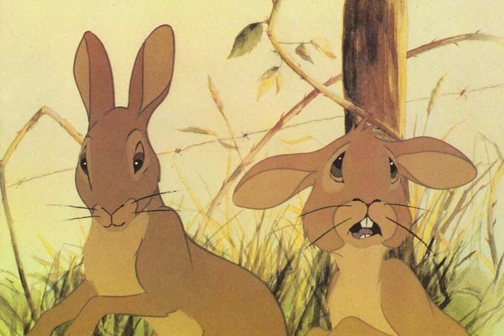 Watership Down Photo