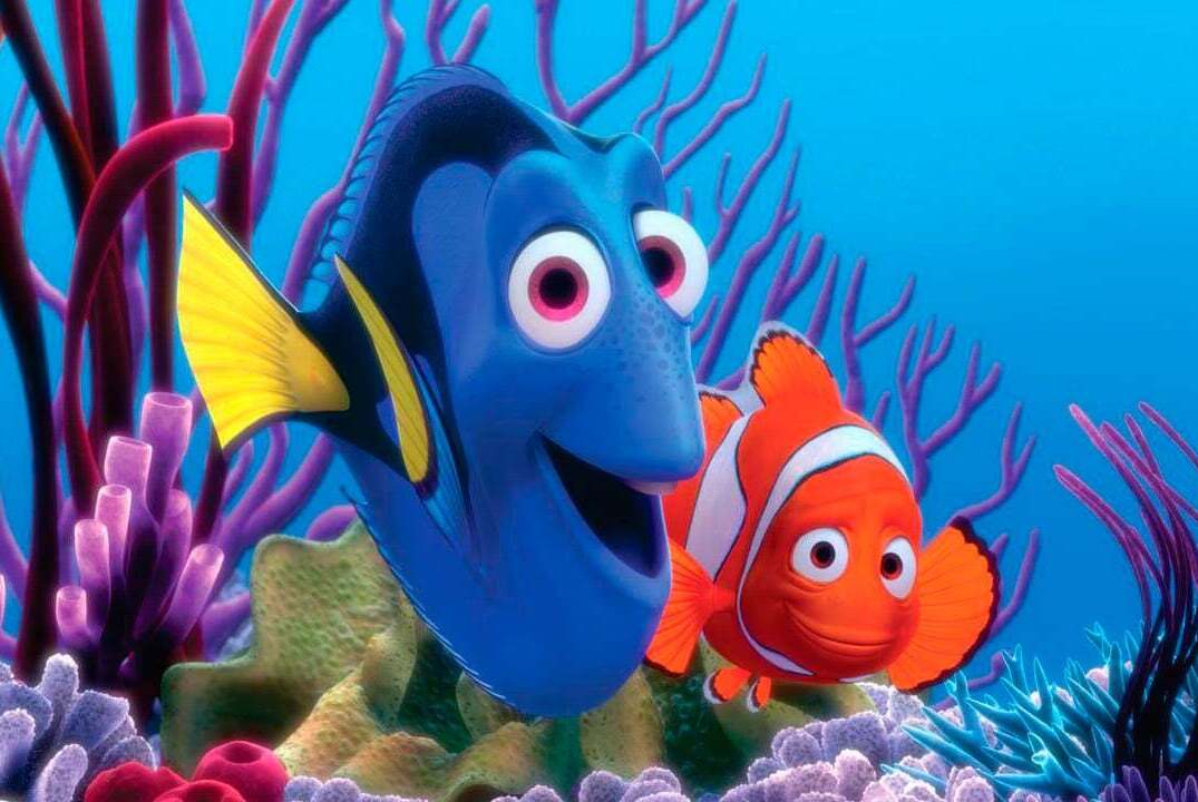 Finding Nemo Photo