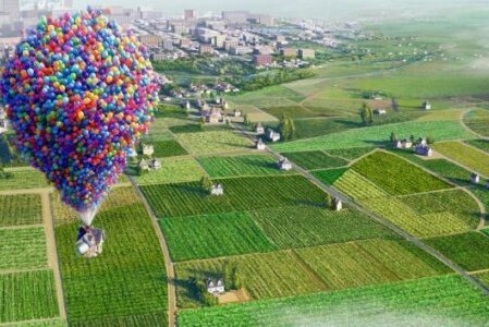 Up Photo