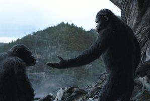 Trailer Thumbnail for Dawn of the Planet of the Apes