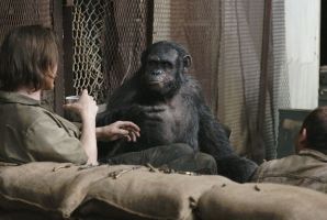Trailer Thumbnail for Dawn of the Planet of the Apes in 3D