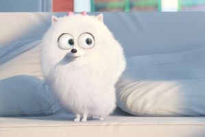 The Secret Life of Pets cast photo