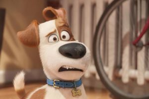 The Secret Life of Pets cast photo
