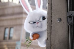 The Secret Life of Pets cast photo