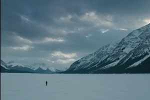 The Revenant cast photo