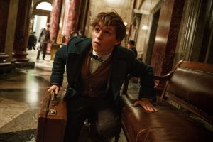 Fantastic Beasts and Where to Find Them cast photo