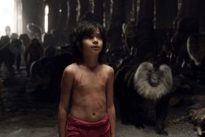 The Jungle Book cast photo
