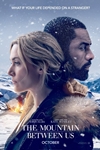 The Mountain Between Us Poster