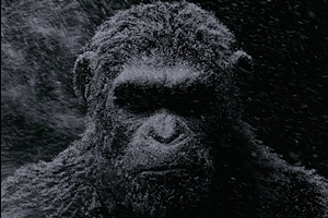 War for the Planet of the Apes cast photo