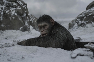 War for the Planet of the Apes cast photo