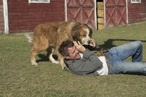 Trailer Thumbnail for A Dog