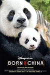 Born in China Poster