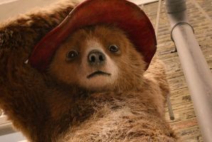 Still 2 for Paddington 2