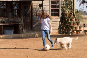 Still 1 for Mia and the White Lion