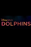 Dolphins Poster