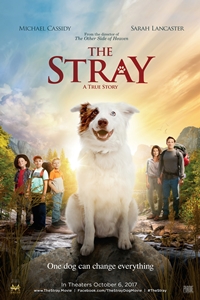 Stray, The