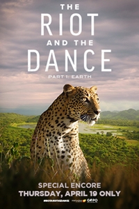 The Riot and the Dance