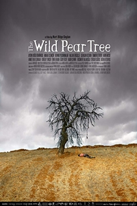 Poster of The Wild Pear Tree