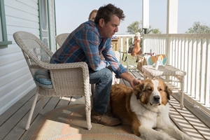 Still 1 for A Dog's Journey