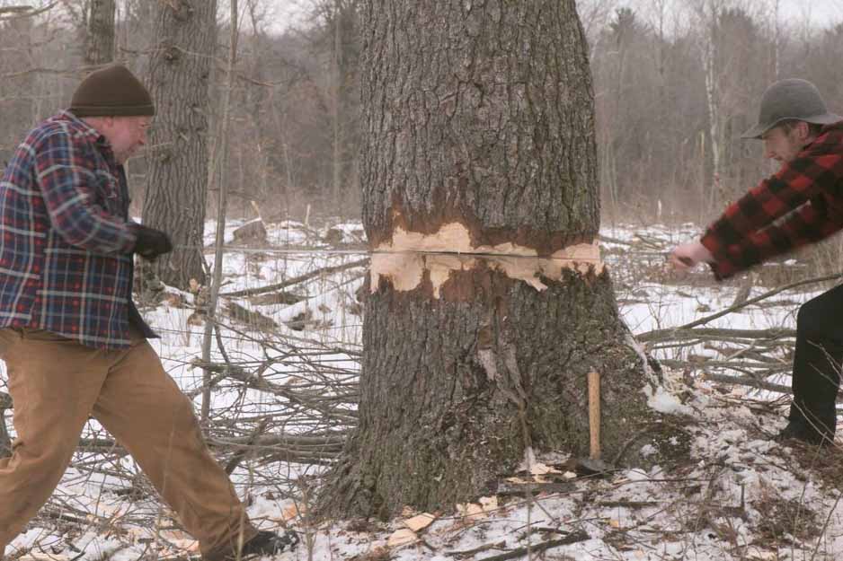 The Lumber Baron Trailer & Info QuickLook Films