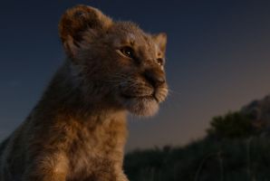 Still 7 for The Lion King in RealD 3D