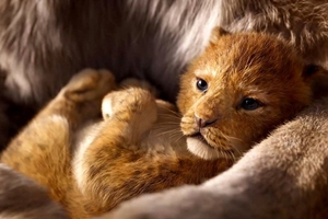 Still 5 for Opening Night Fan Event The Lion King
