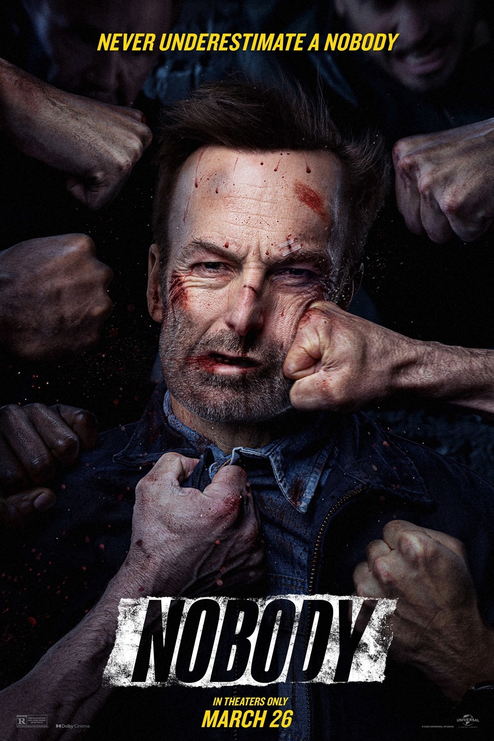 Poster of Nobody