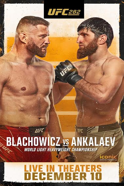 UFC 282 Prochazka vs Teixeira