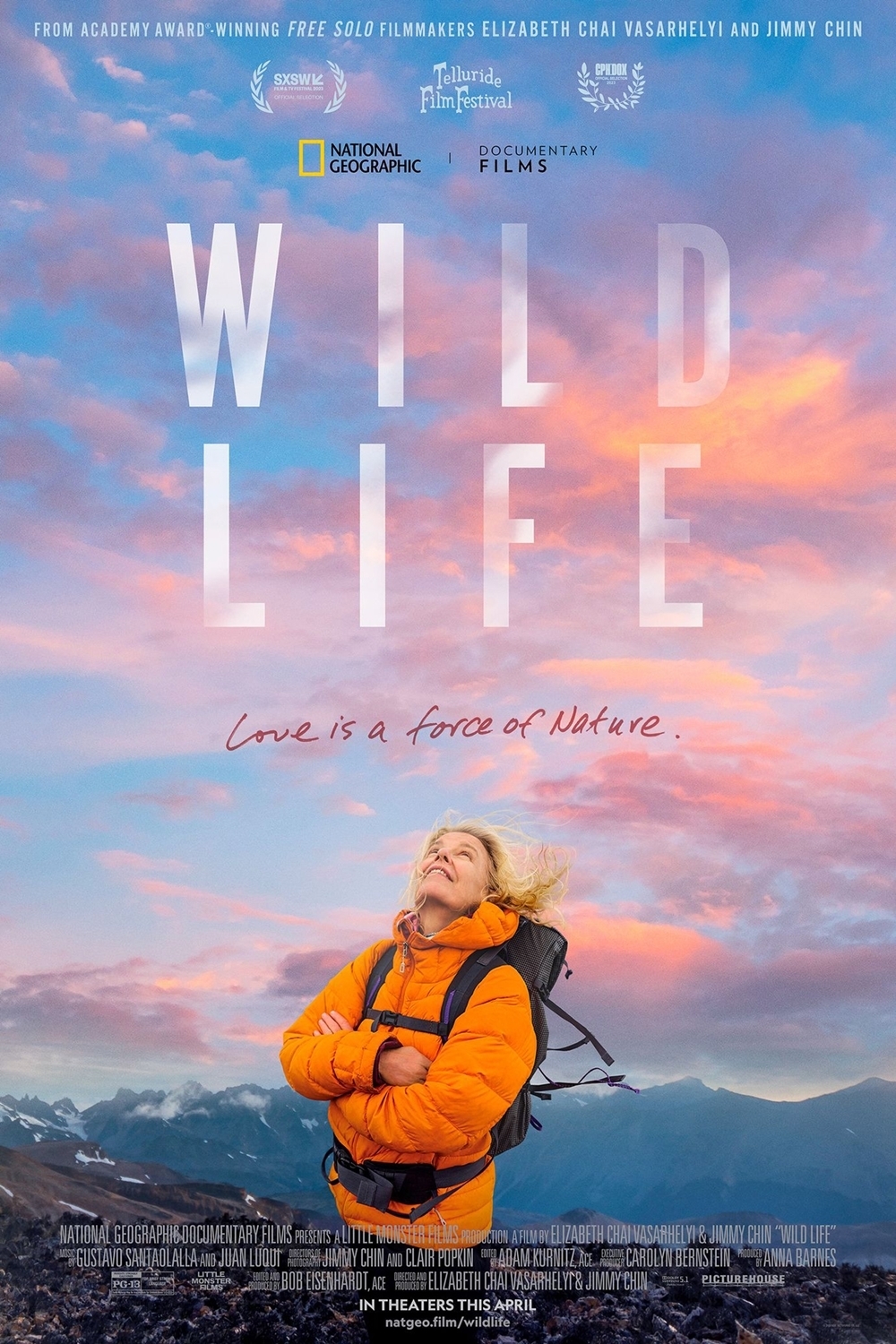 Poster of Wild Life