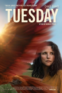 US Filmography | QuickLook Films