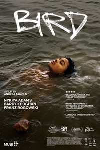 Ol Filmography | QuickLook Films