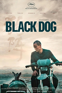Ua Filmography | QuickLook Films