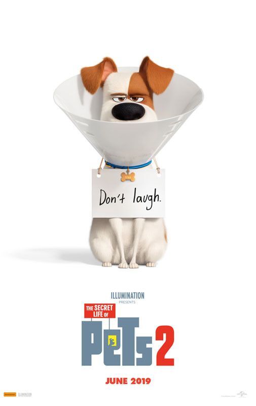 Poster of The Secret Life of Pets 2