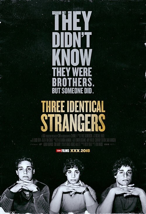 Poster of Three Identical Strangers