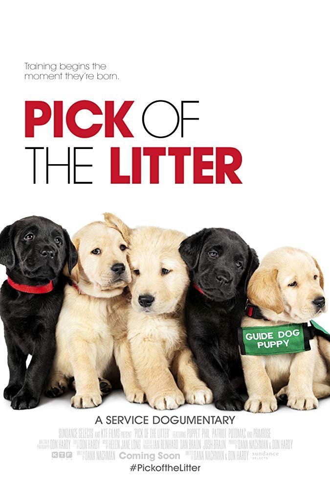 Poster of Pick of the Litter