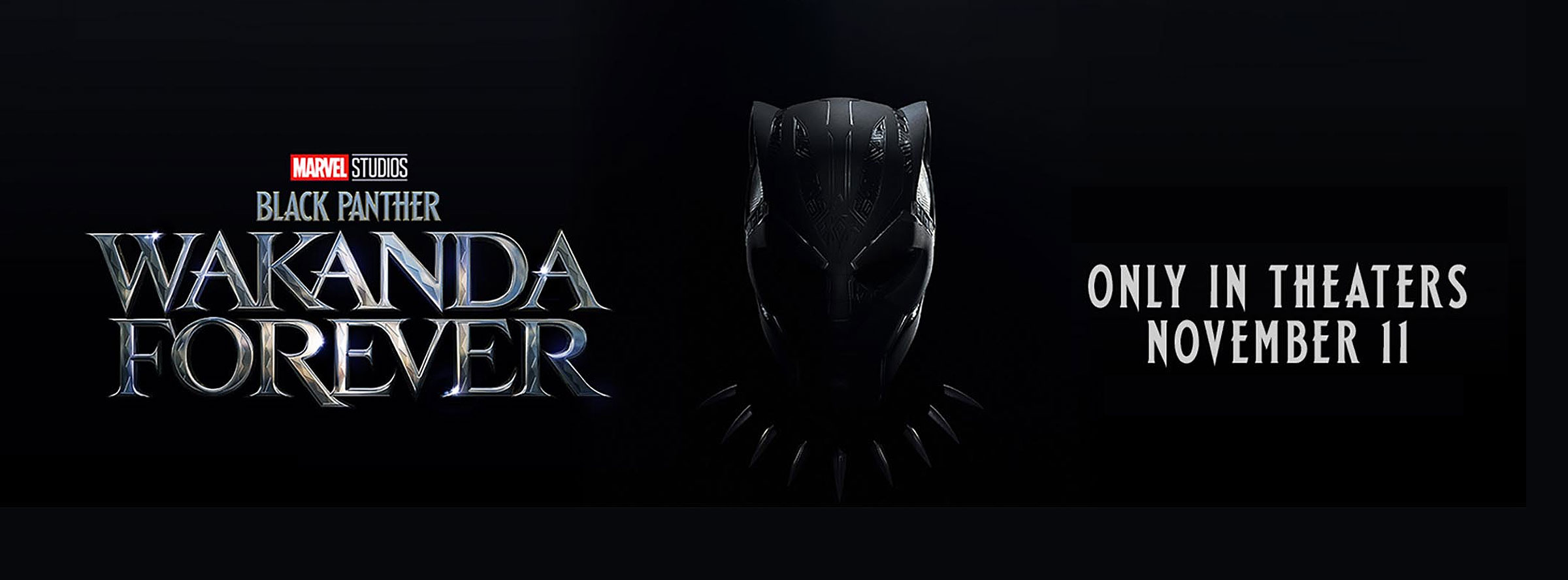 Slider Image for Black Panther: Wakanda Forever                                             