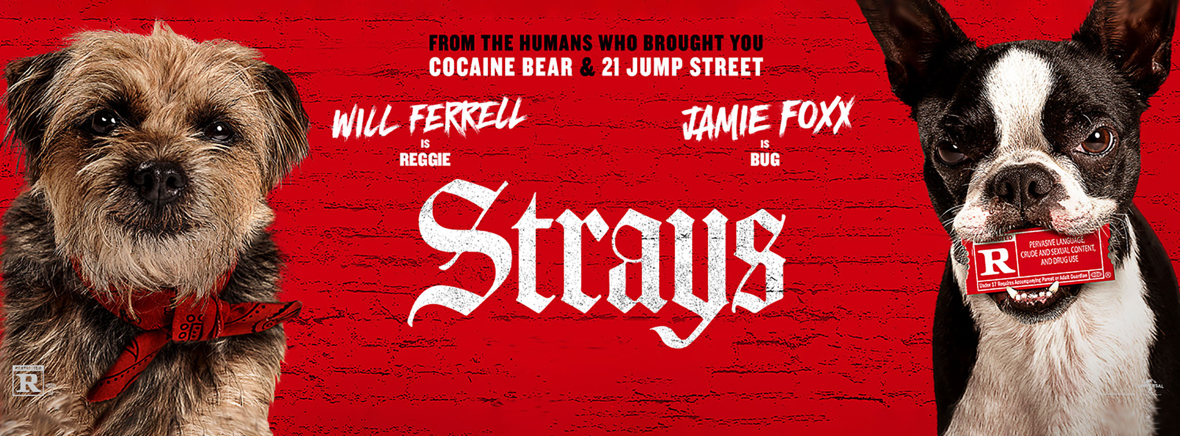 Strays