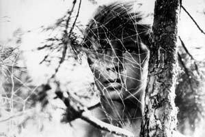 Ivan's Childhood (Ivanovo detstvo) Photo