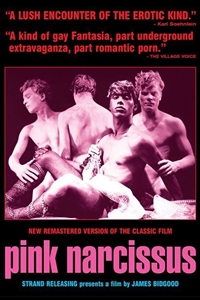 Poster for Pink Narcissus