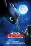 How to Train Your Dragon 3D Poster