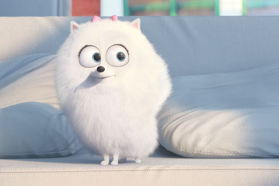 The Secret Life of Pets Photo