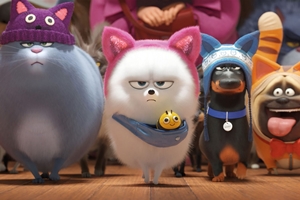 Still 8 for The Secret Life of Pets 2