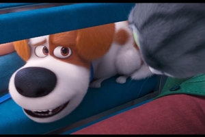 Still 10 for The Secret Life of Pets 2