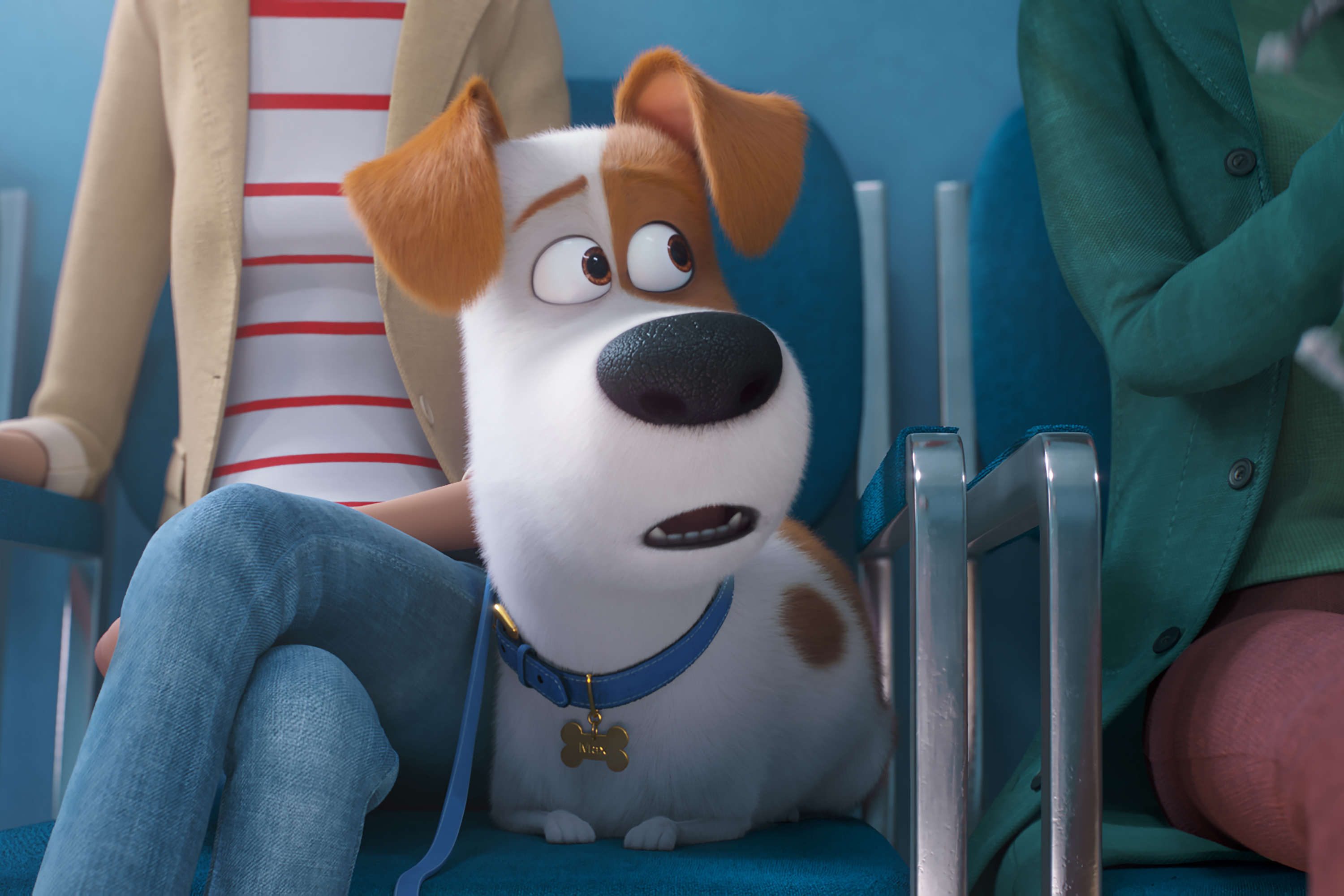 Still 0 for Secret Life of Pets 2, The                                                 