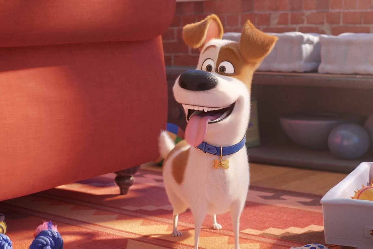 Still 0 for Secret Life of Pets 2, The                                                 