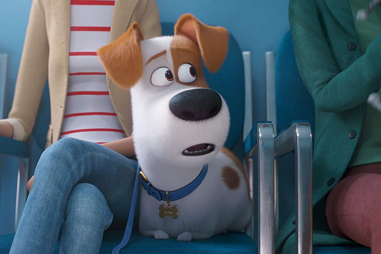 Still 3 for Secret Life of Pets 2, The                                                 