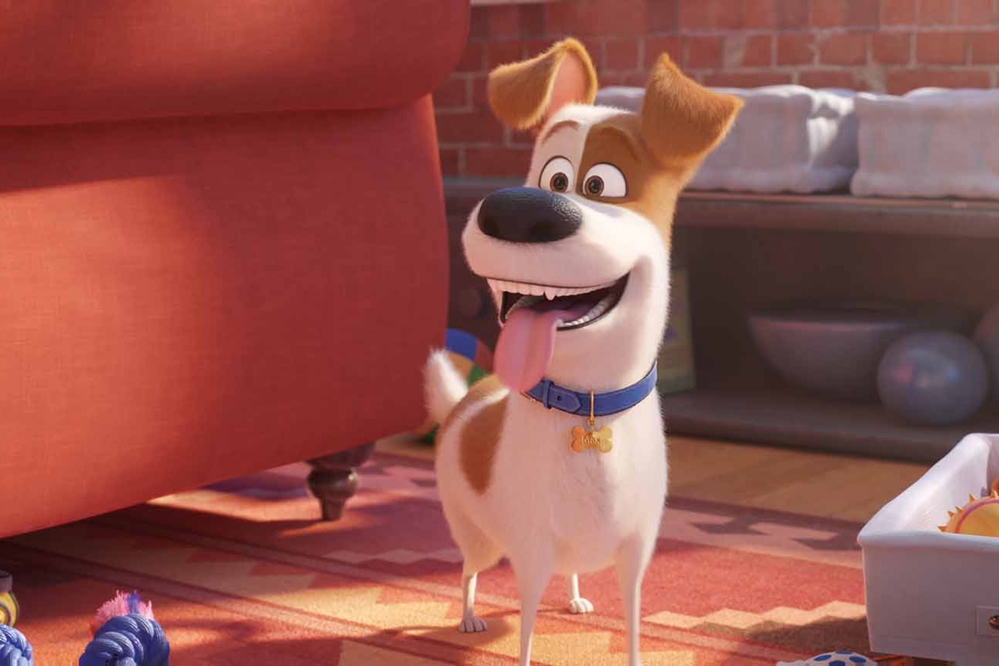 Still 5 for Secret Life of Pets 2, The                                                 