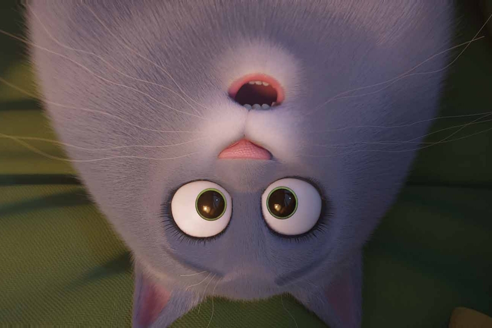 Still 6 for Secret Life of Pets 2, The                                                 